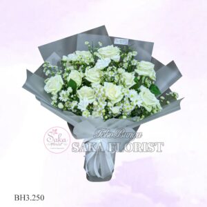 Lumi Bloom